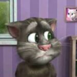 Talking Tom Cat